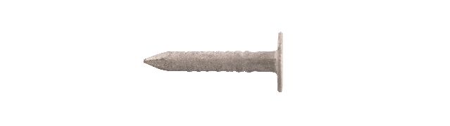 231411 Pappspiker VF (a)
